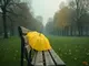 die-farbe-yellow-und-trennung-wie-farben-emotionen-beeinflussen
